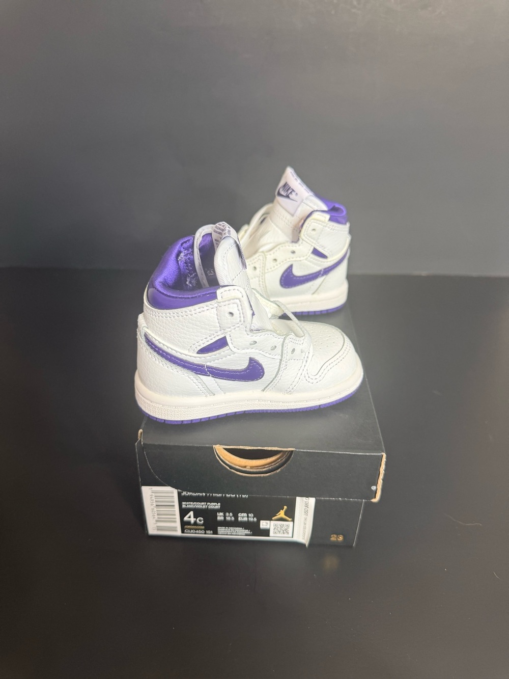 Nike Air Jordan 1 High OG Court Purple TD 4C NEW w/ Box CU0450-151